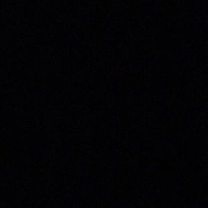 Meet your Posher, Daisy